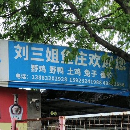 刘三姐鱼庄