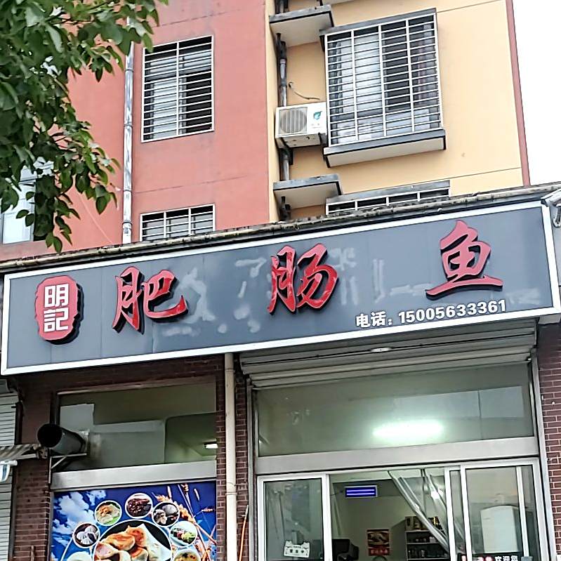 明记腓肠鱼