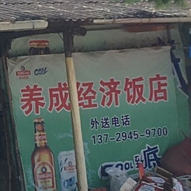 养成经济饭店