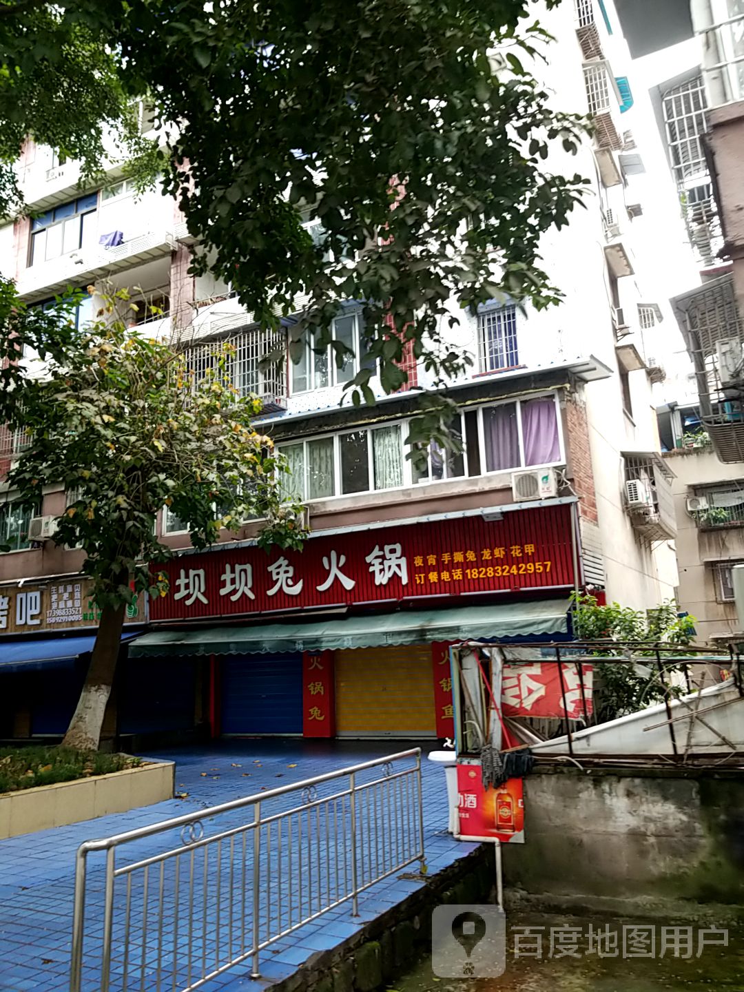 坝坝兔活过