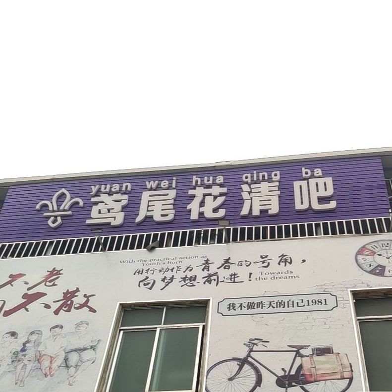 鸢尾花清吧