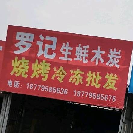 罗记生蚝木炭烧烤冷冻批发