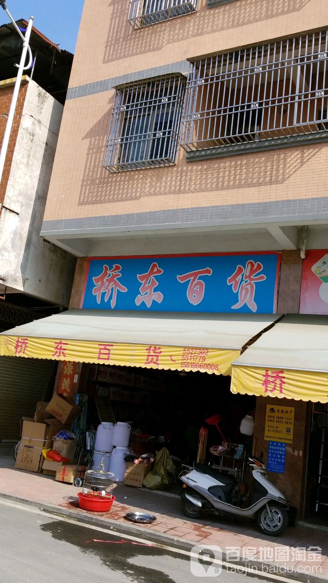 桥东柏货