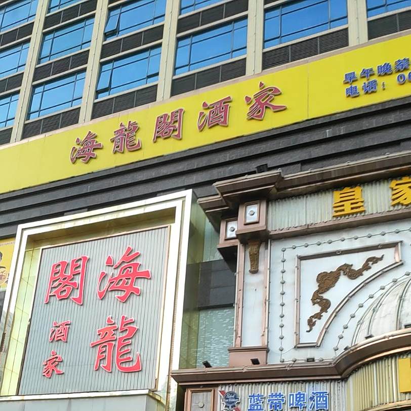 海龙阁酒家(维也纳国际酒店店)