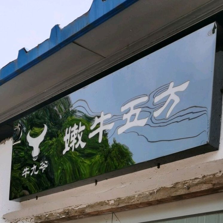 牛九爷嫩牛五方(滨江北路店)