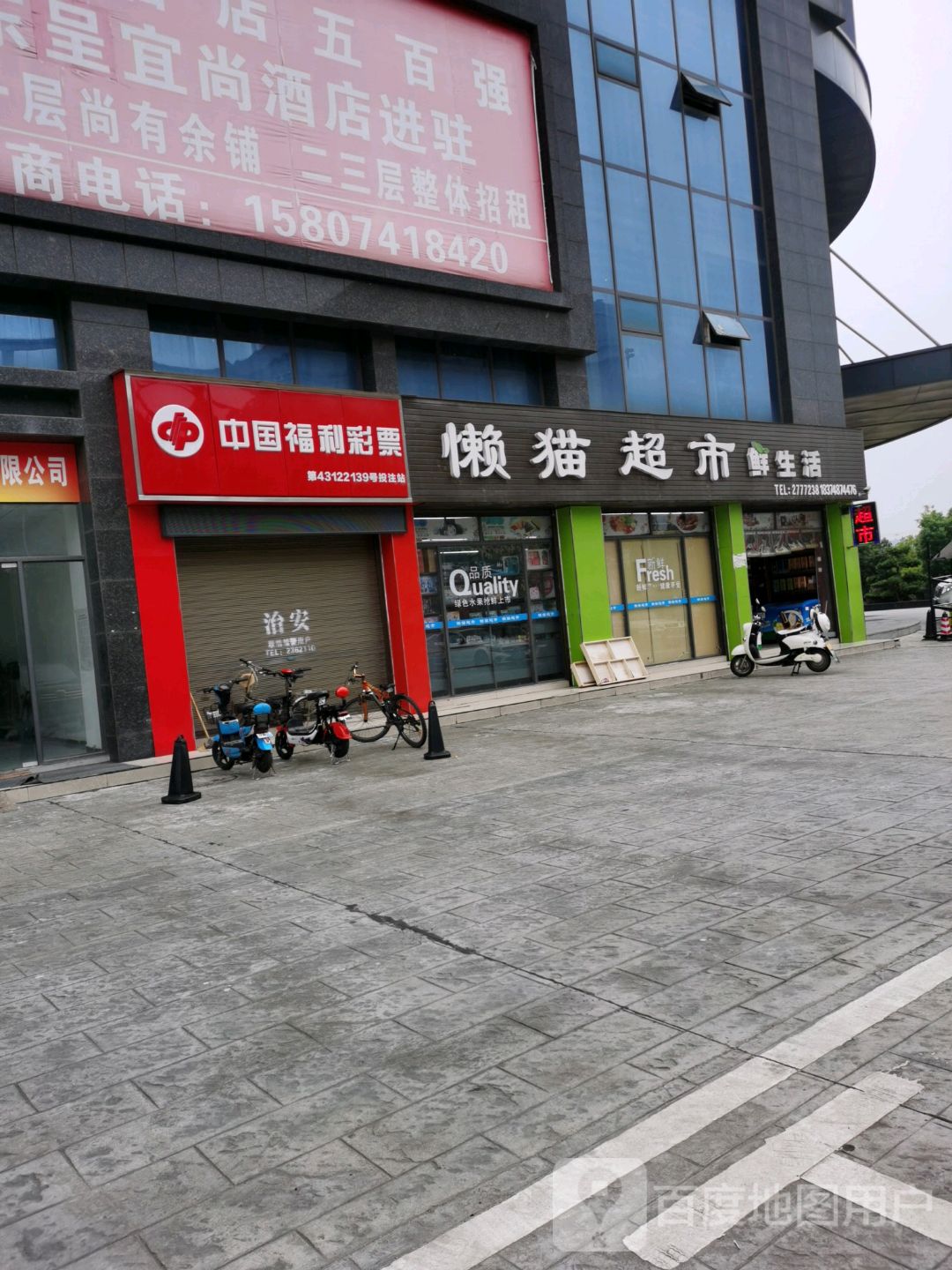 懒猫超市(环城西路店)