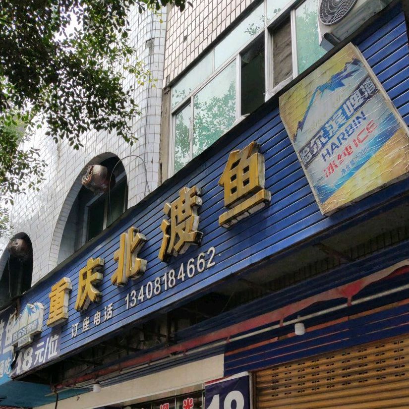 重庆市渡鱼(桓源尚城西)