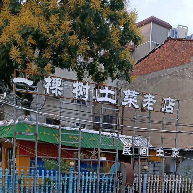 一棵树民间土菜(琴棋巷店)