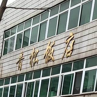 青松饭店(伏波大道店)