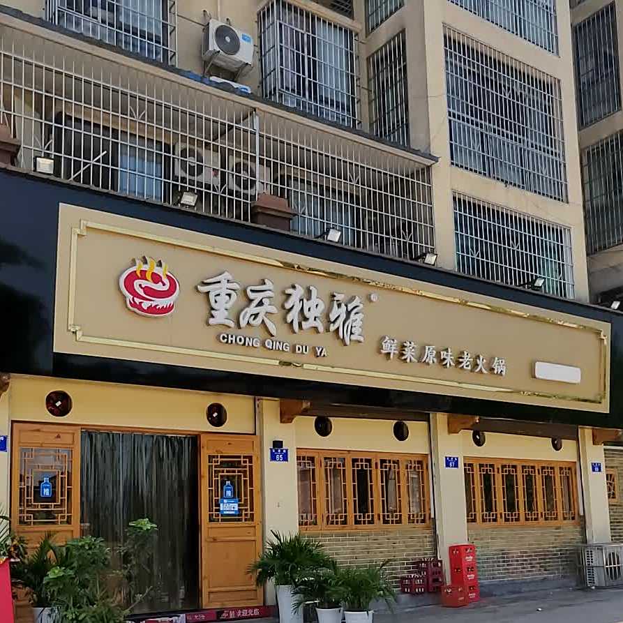 重庆独雅鲜菜原味老火锅