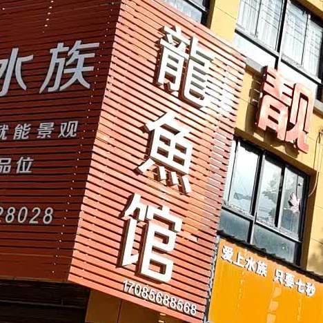 龙鱼馆