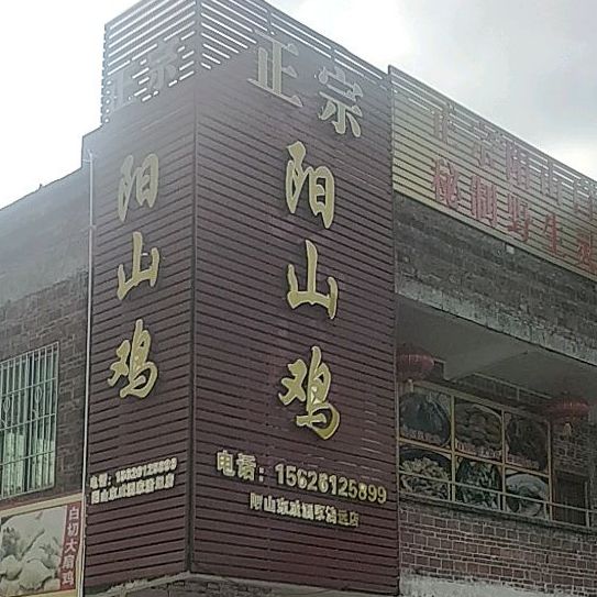 正宗阳山鸡(清远店)