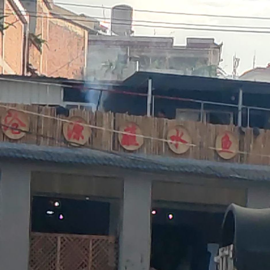 沧源沾水鱼