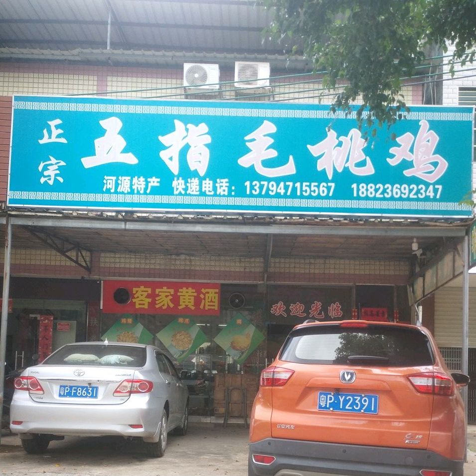 五指矛头鸡(河源大道店)
