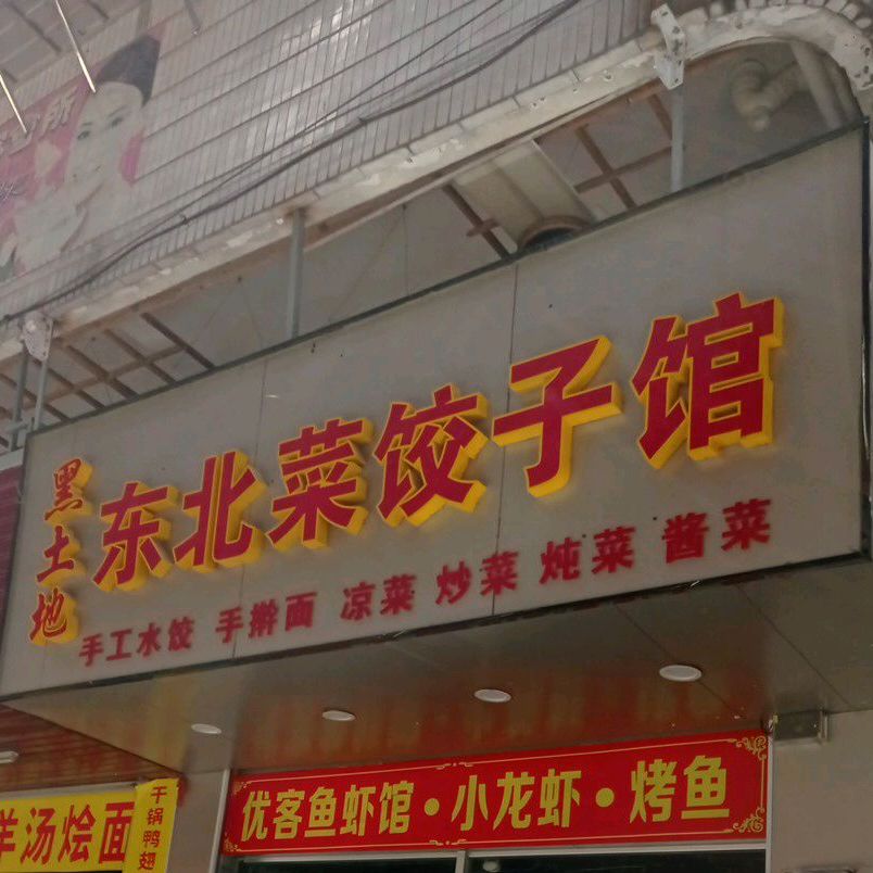 东北大馅饺子(淌心下北社大街店)