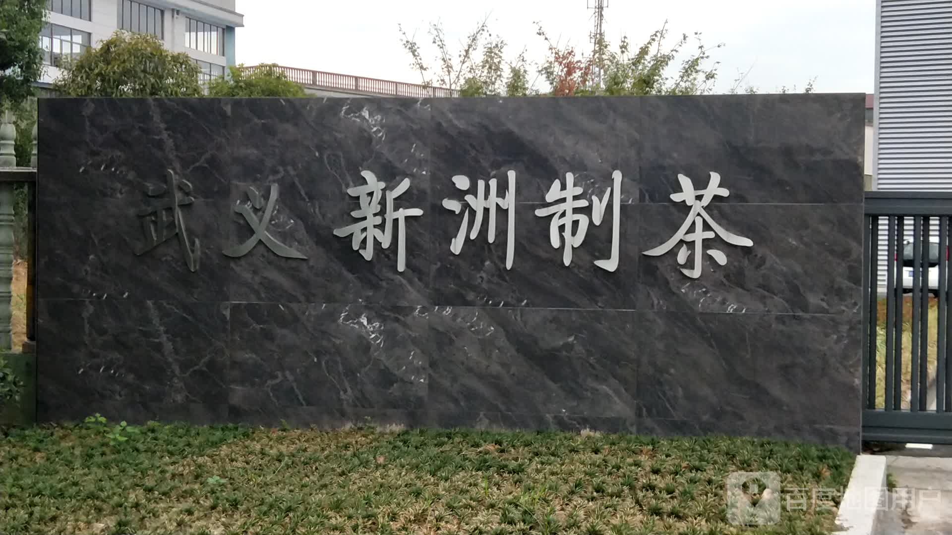 武义新洲制茶
