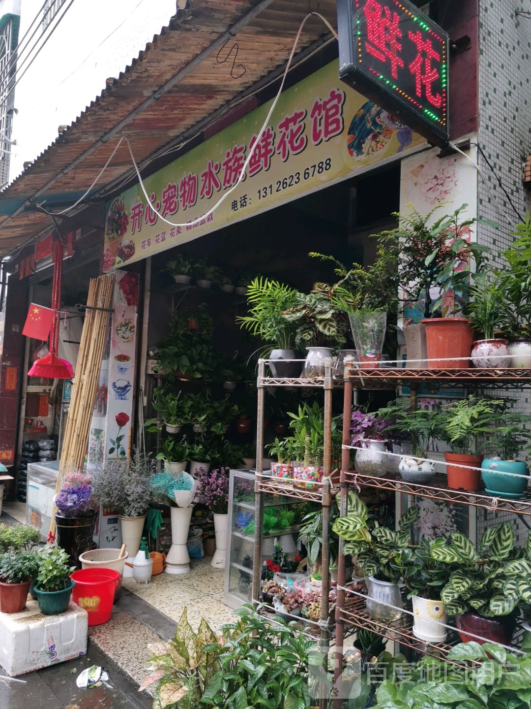 开心鲜花水族(滘头店)