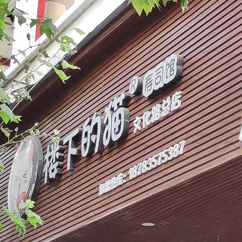 楼下的猫寿司馆(文化路店)