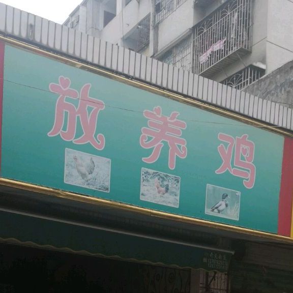 放养殖