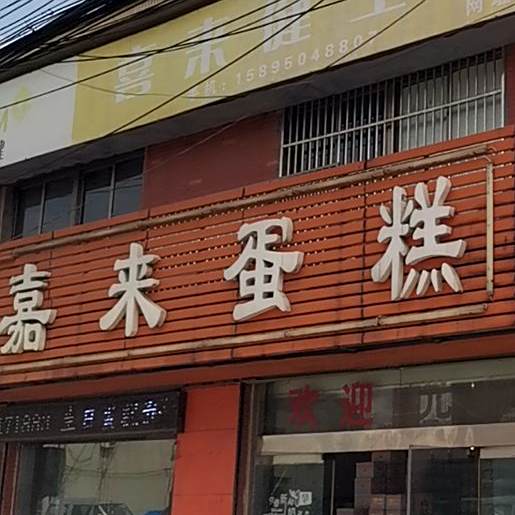 喜嘉来蛋高