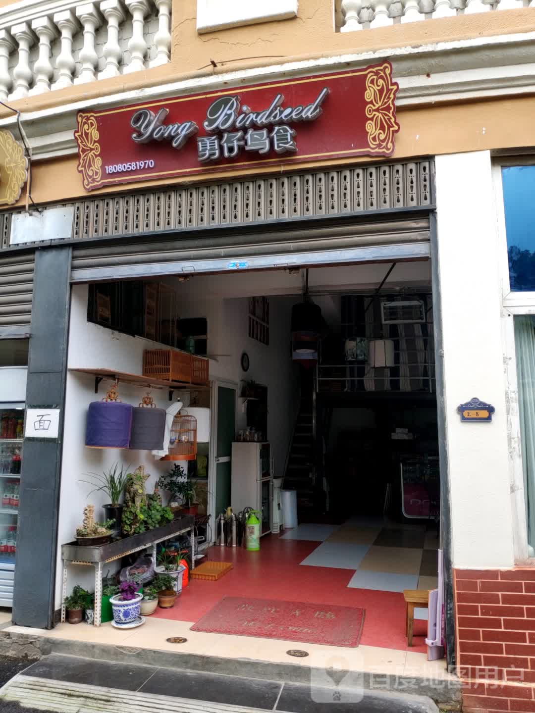 勇仔鸟行(协和广场店)