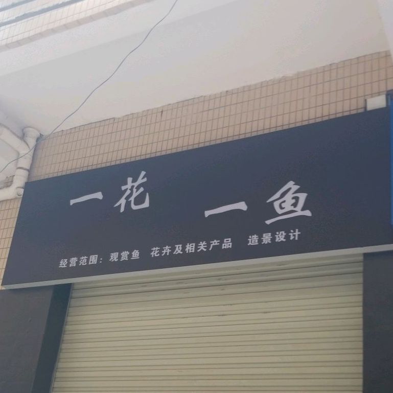 一花一鱼