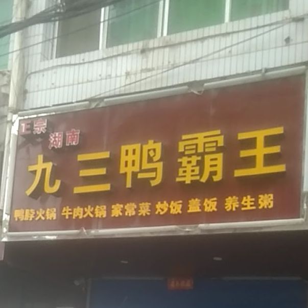 正宗湖南三九鸭霸王