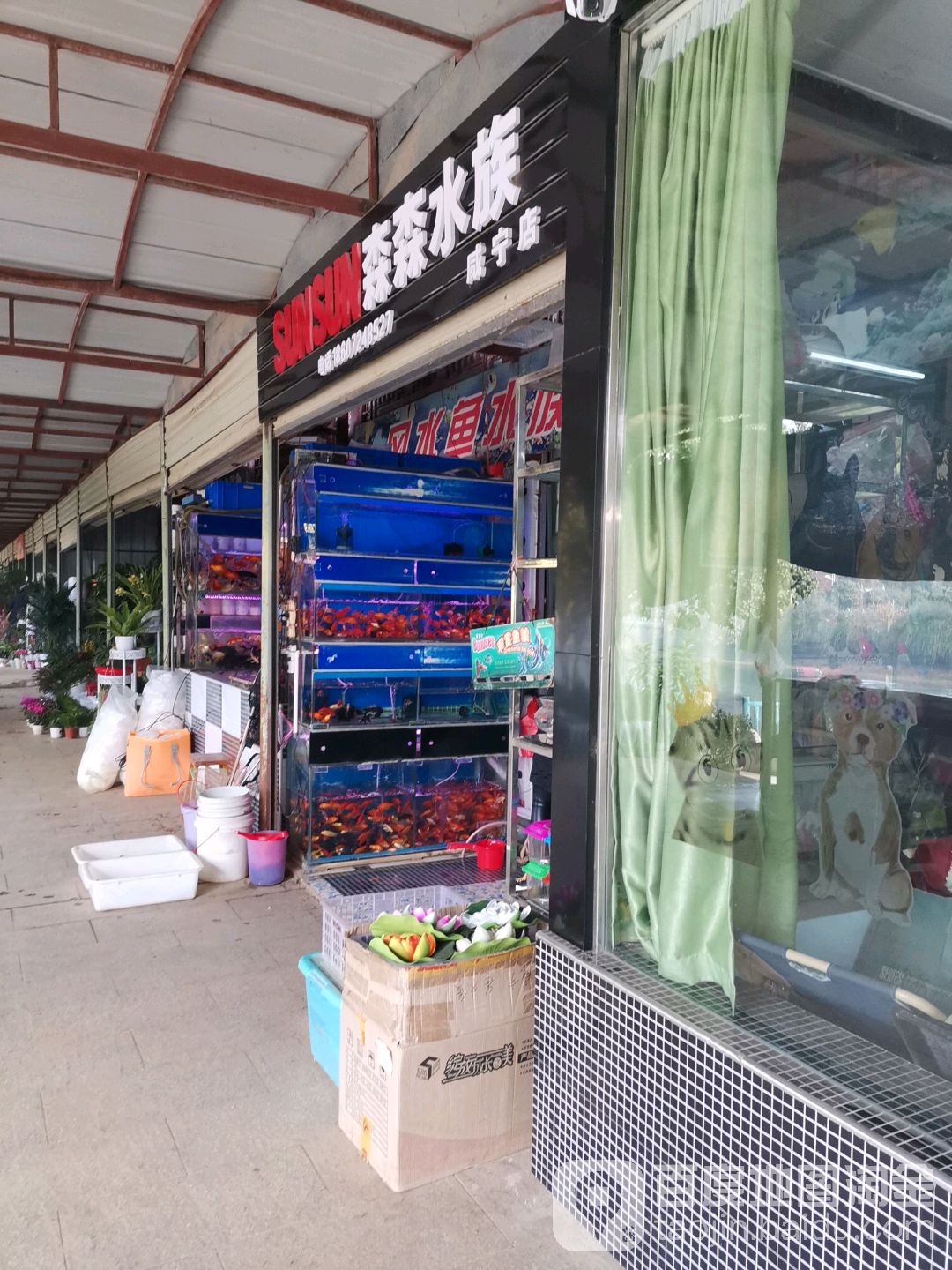 森森水族(滨河东街店)