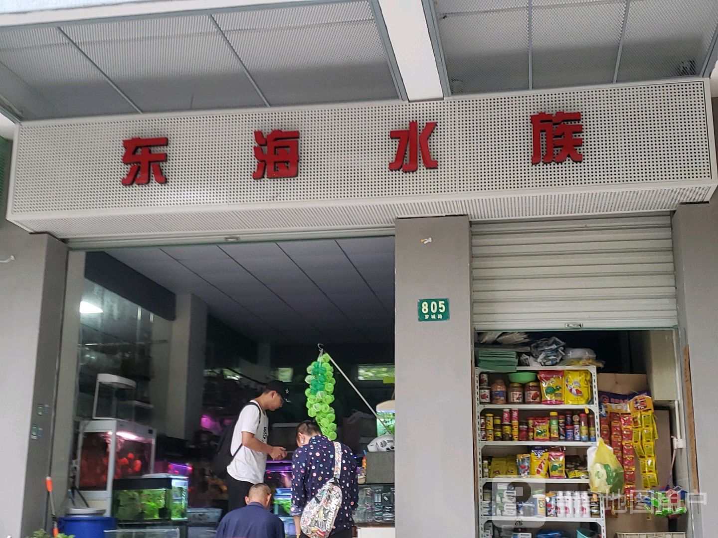 东海水族(华东花苑店)