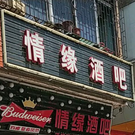 情缘酒吧(环城路店)