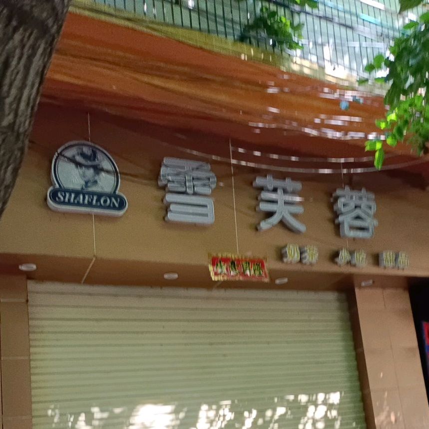 雪芙蓉(解放三巷店)