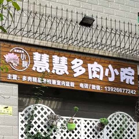 慧慧多肉校园