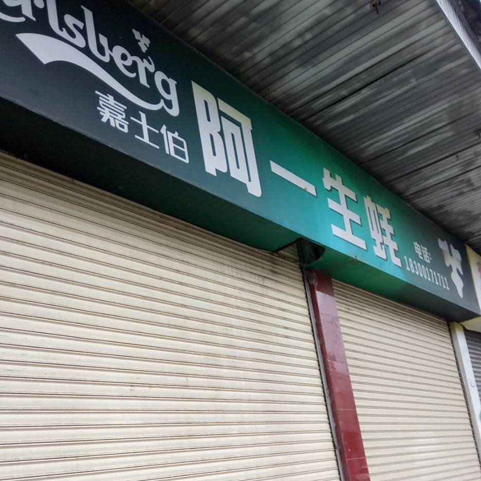 阿一生蚝