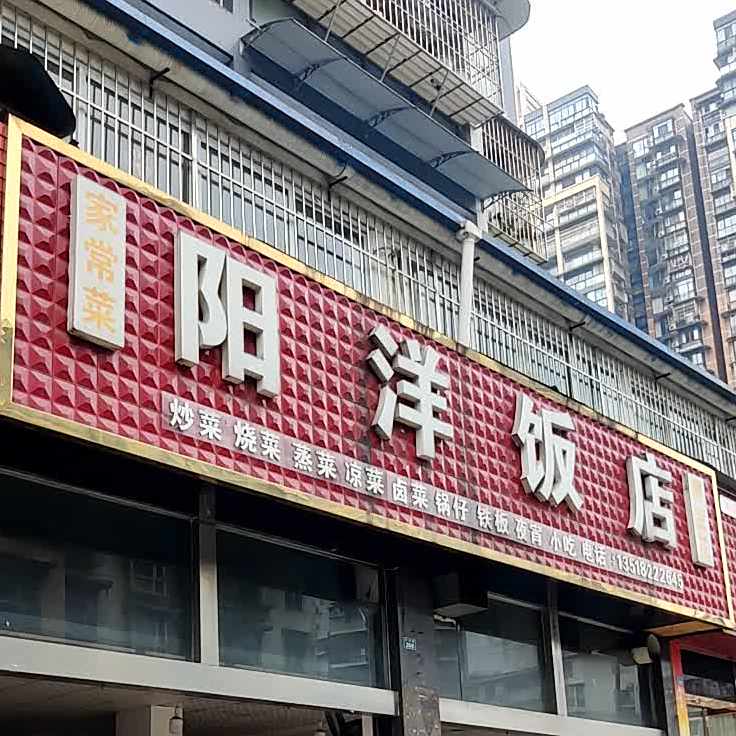 阳洋返点