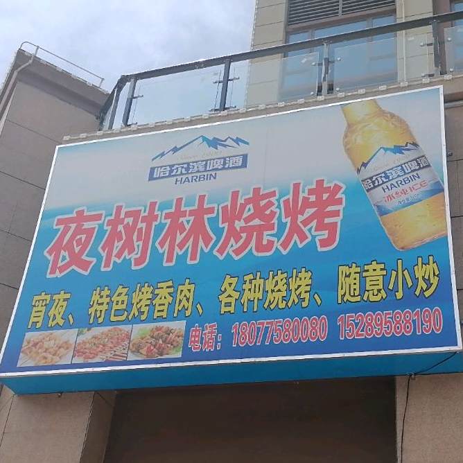 夜树林烧烤