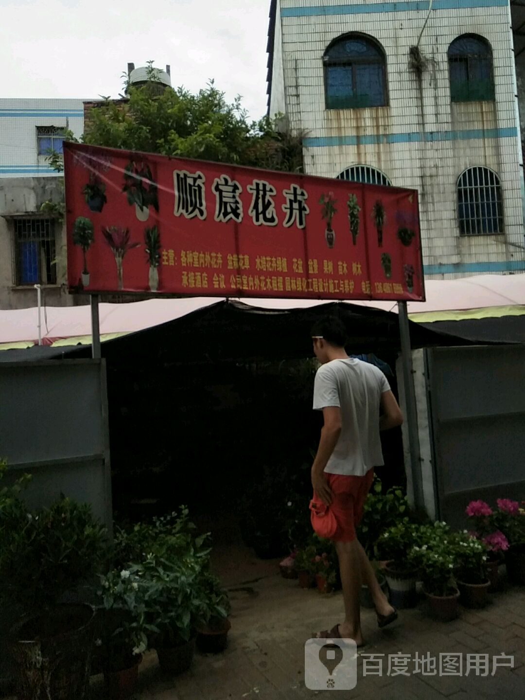 顺宸花卉