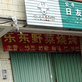 乐东野菜烧烤