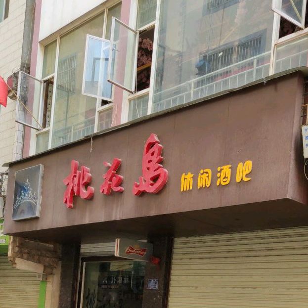 桃花导休闲酒吧(总店)