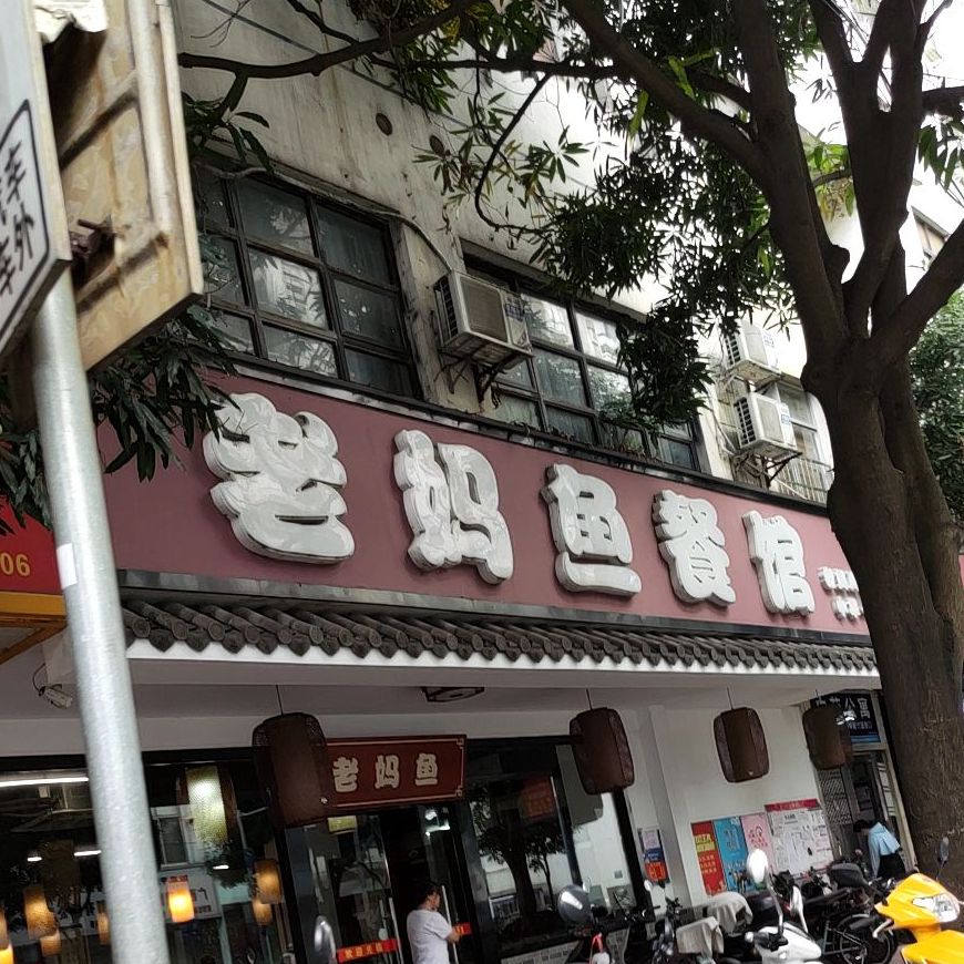 老妈鱼(中苑公寓店)