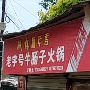 老字号牛肠子火锅