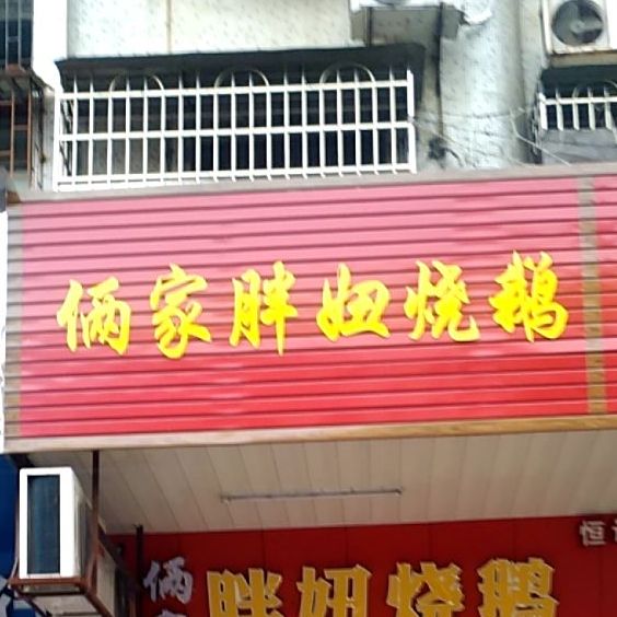 俩家胖妞烧鹅葫