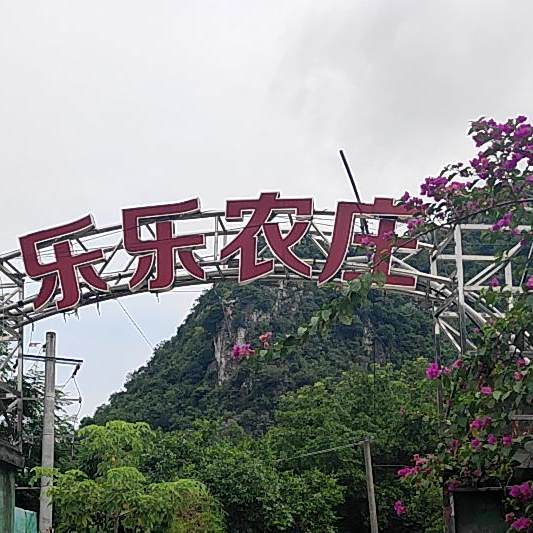 乐乐农