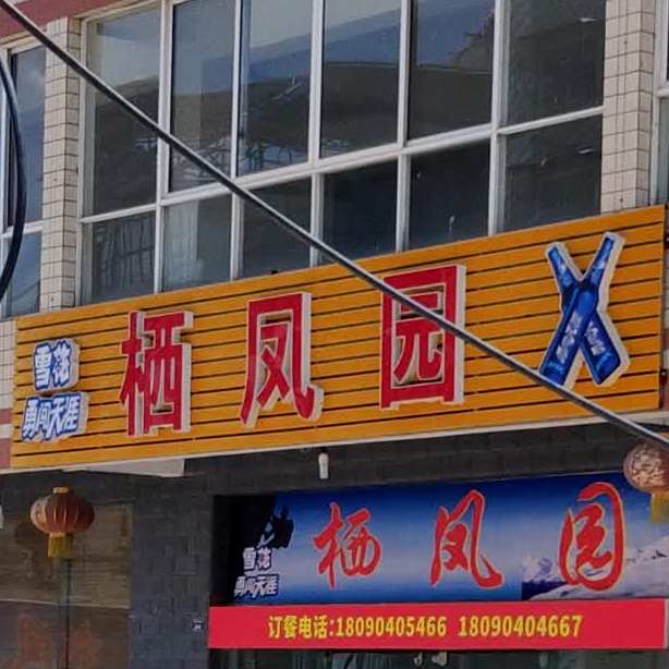 栖凤园烤烧