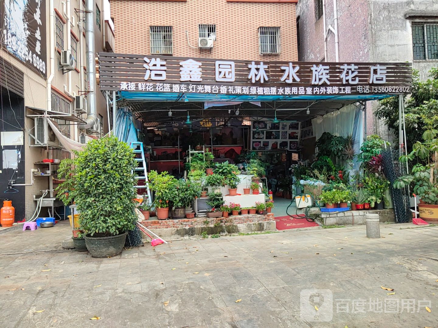 浩鑫园林水族花店