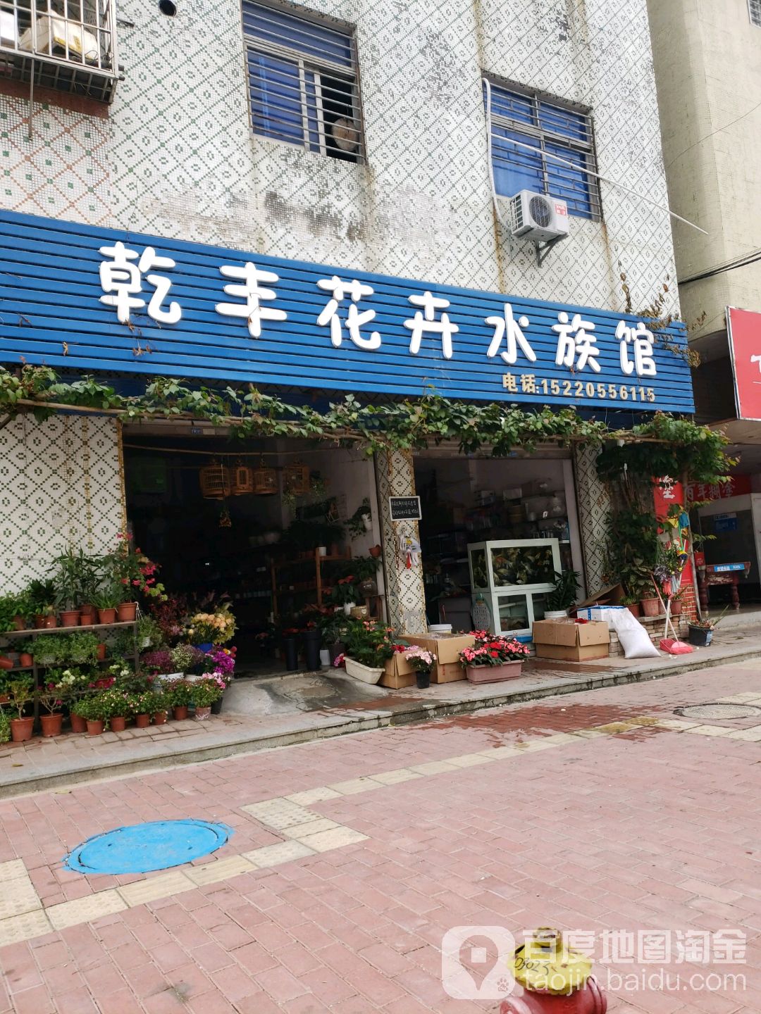 乾务花卉水族馆