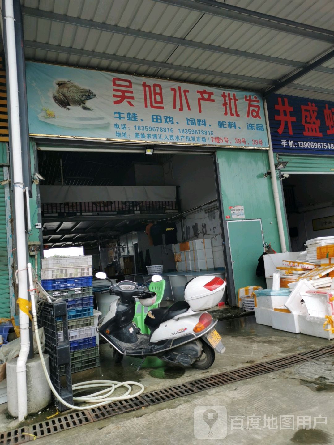 吴旭水产批发