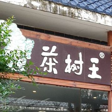 云南茶树王(昆明形象店)