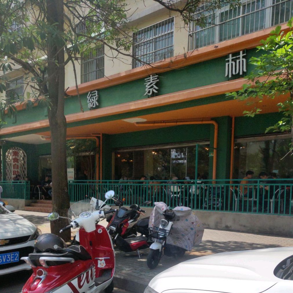 绿素林(棋阳路店)