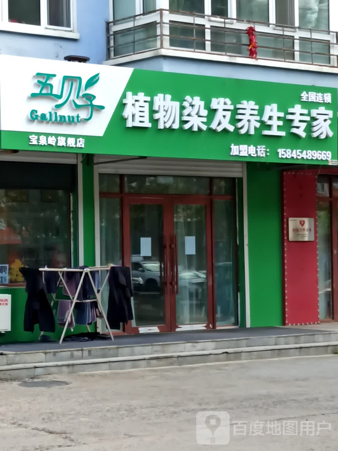 五贝子植物染发养生专家
