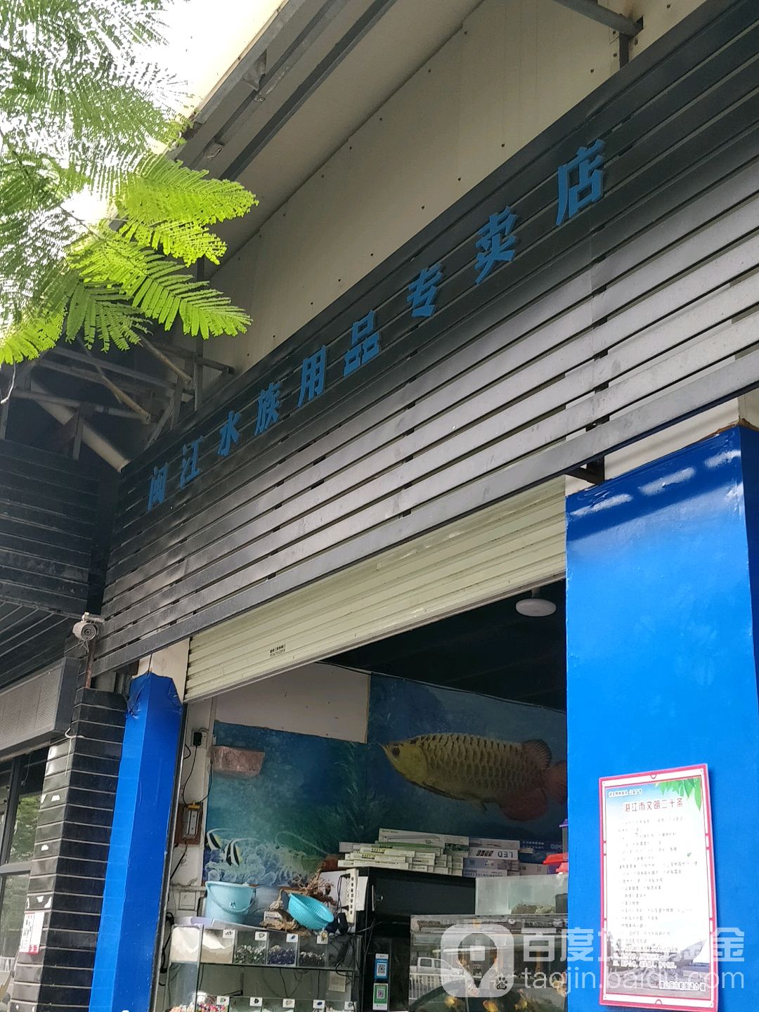 闽江水族用品专卖店